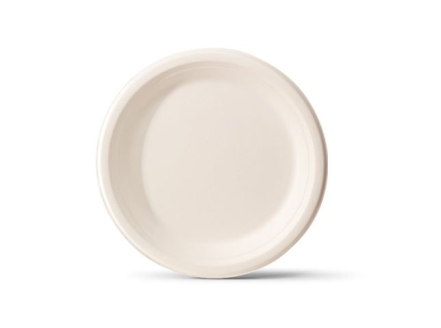 Assiette de canne sucre bio 26cm bl/pq50